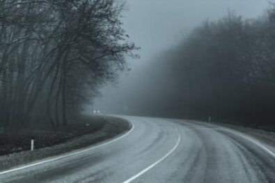 Dark spooky road